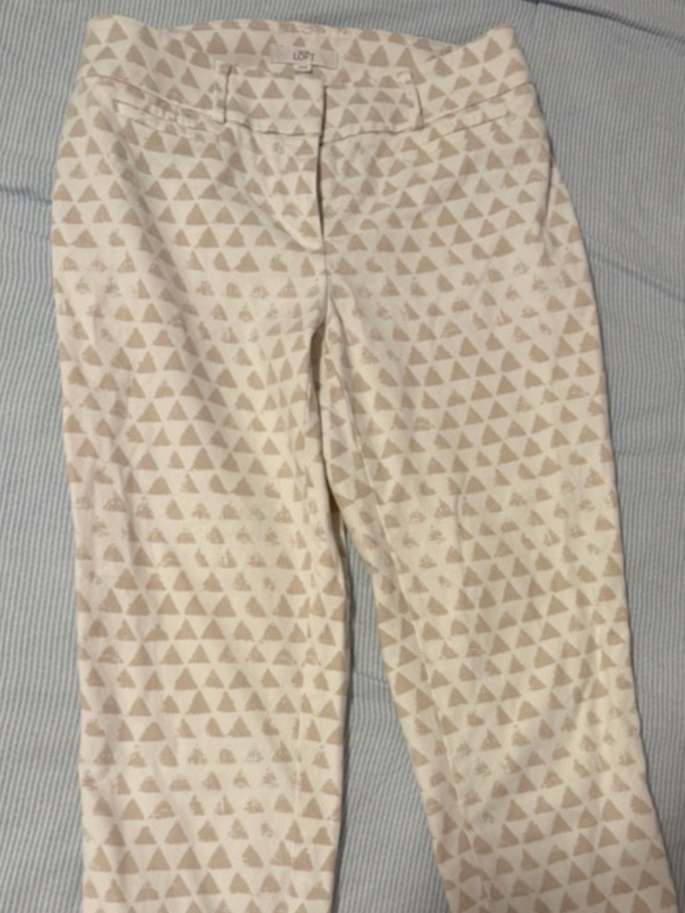 Ann Taylor Pant